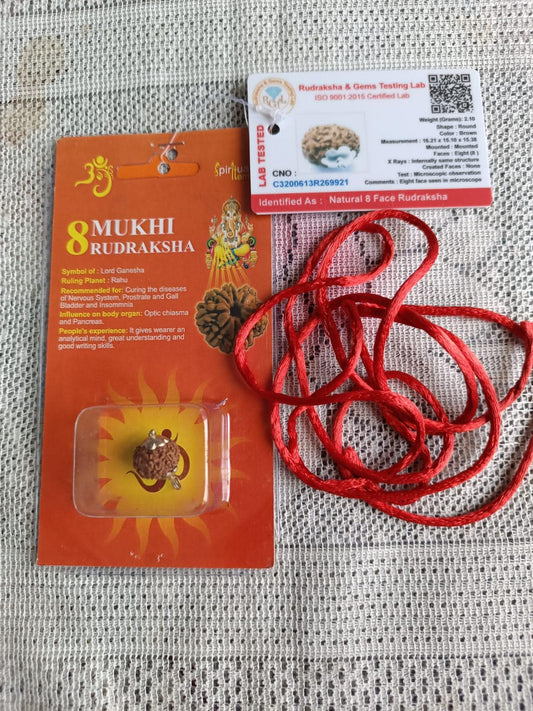 8 Mukhi Rudraksha – Certified Natural Bead for Protection, Meditation & Positive Energy