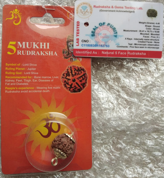 5 Mukhi Natural Certified Rudraksha Bead (Lab Tested)