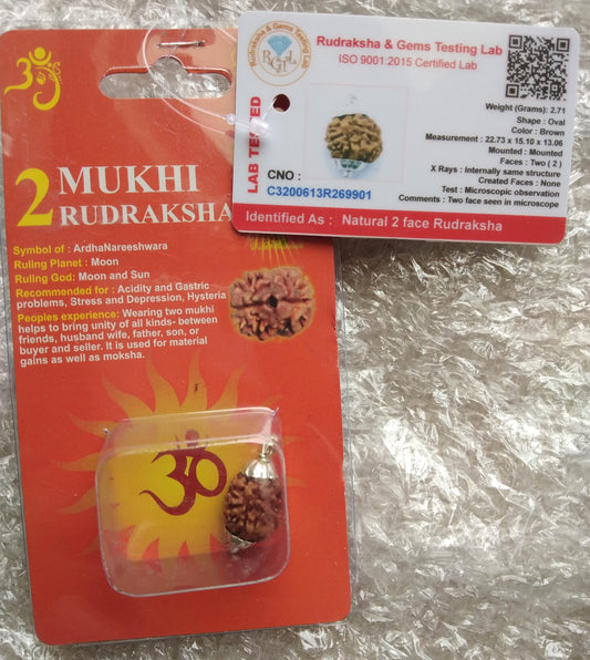 2 Mukhi Rudraksha – Certified Natural Bead for Protection, Meditation & Positive Energy