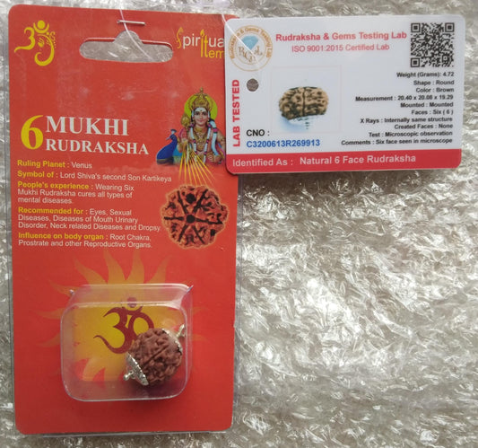 6 Mukhi Rudraksha – Certified Natural Bead for Protection, Meditation & Positive Energy