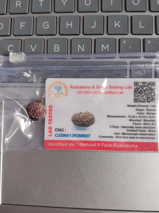 9 Mukhi Rudraksha Bead | Goddess Durga, Certified Natural