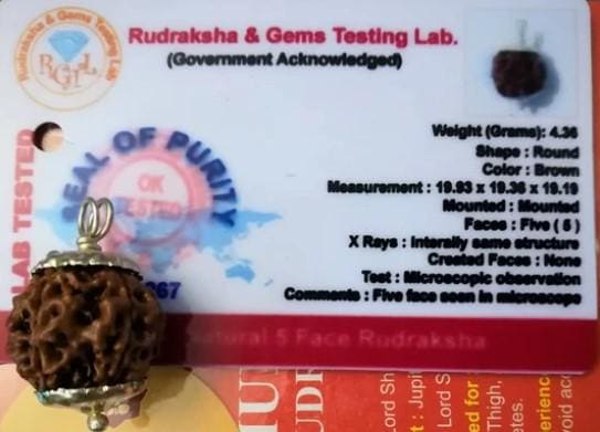 5 Mukhi Natural Certified Rudraksha Bead (Lab Tested)