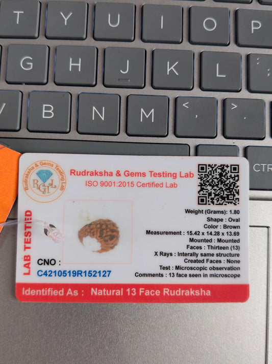 13 Mukhi Rudraksha Bead | Lab Certified, Venus Ruled Spiritual Bead