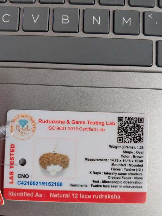 12 Mukhi Rudraksha Bead: Lord Sun Symbol, Leadership Pendant