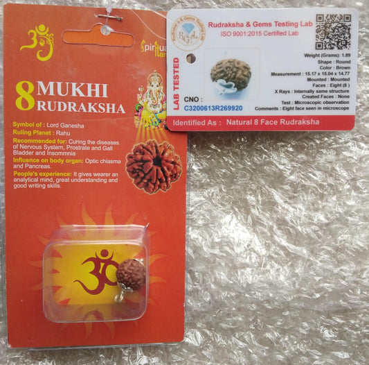 8 Mukhi Rudraksha – Certified Natural Bead for Protection, Meditation & Positive Energy