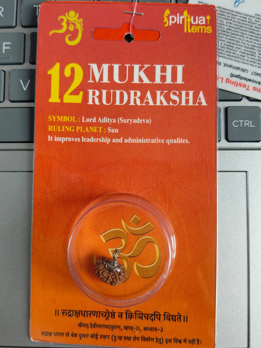 12 Mukhi Rudraksha Bead: Lord Sun Symbol, Leadership Pendant