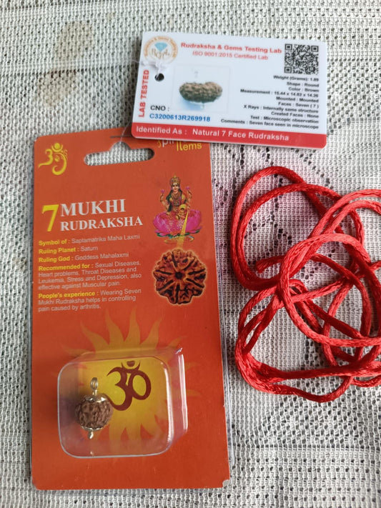 7 Mukhi Rudraksha – Certified Natural Bead for Protection, Meditation & Positive Energy