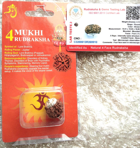 4 Mukhi Rudraksha – Certified Natural Bead for Protection, Meditation & Positive Energy