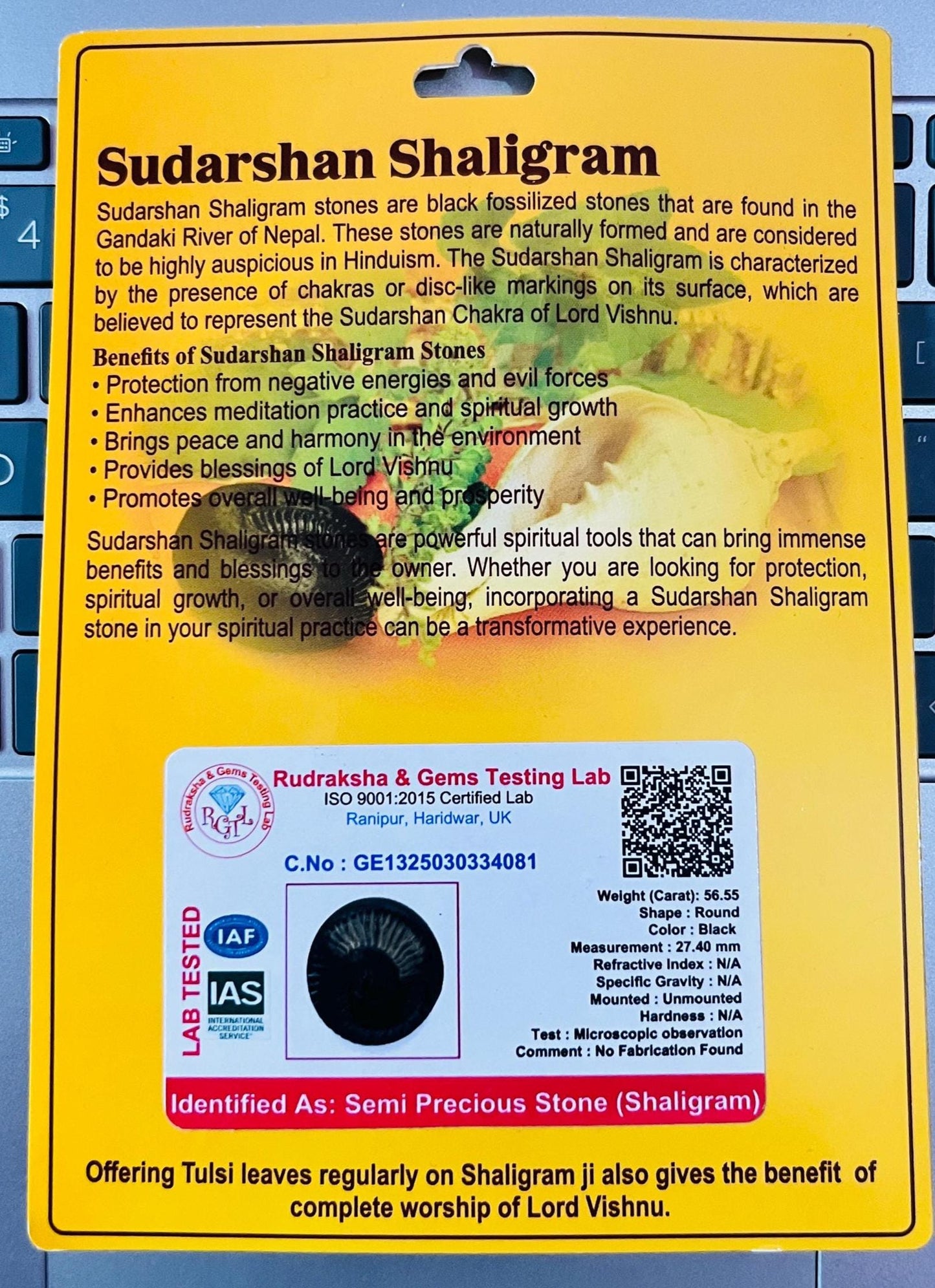 Sudarshan Shaligram – Natural Fossil Stone from Gandaki River