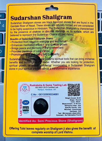 Sudarshan Shaligram – Natural Fossil Stone from Gandaki River