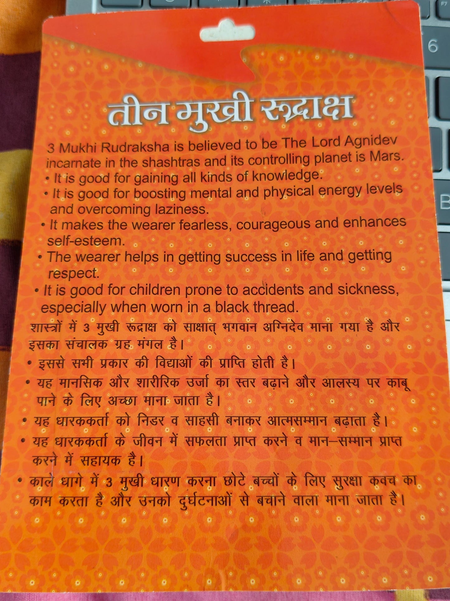 3 Mukhi Rudraksha – Authentic, Lab Certified