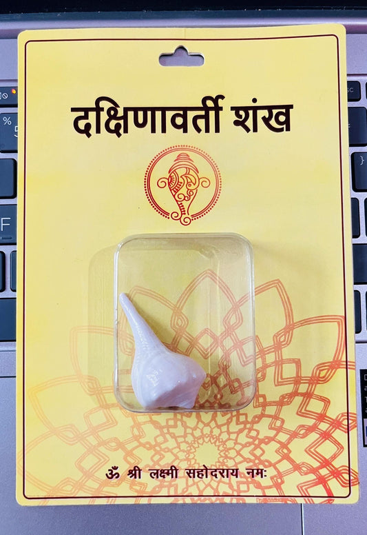 Dakshinavarti Shankh – Lakshmi Conch Shell for Wealth, Hindu Puja & Blessings