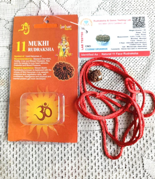 11 Mukhi Rudraksha – Certified Natural Bead for Protection, Meditation & Positive Energy