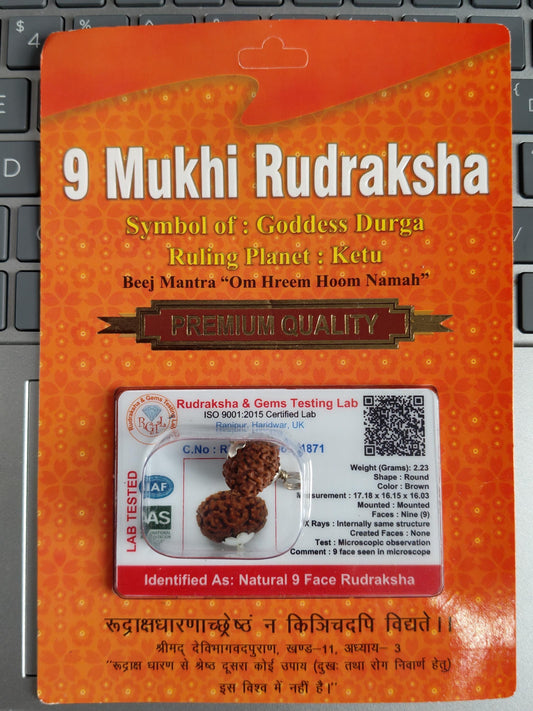 9 Mukhi Rudraksha Bead | Goddess Durga, Certified Natural