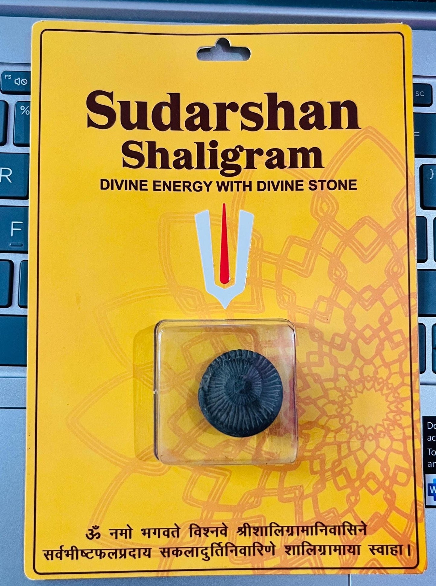 Sudarshan Shaligram – Natural Fossil Stone from Gandaki River