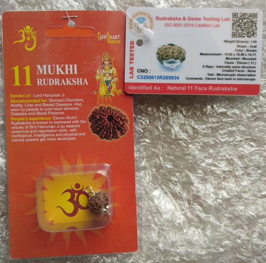 11 Mukhi Rudraksha – Certified Natural Bead for Protection, Meditation & Positive Energy