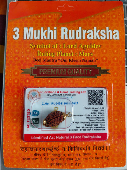 3 Mukhi Rudraksha – Authentic, Lab Certified