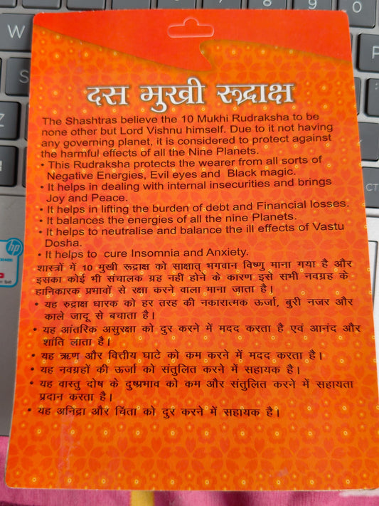 10 Mukhi Rudraksha Bead | Lord Vishnu Symbol, Protection Amulet