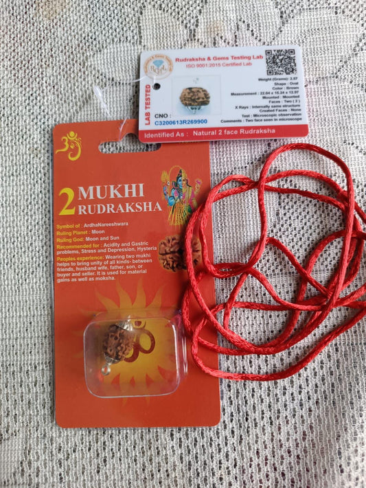 2 Mukhi Rudraksha – Certified Natural Bead for Protection, Meditation & Positive Energy