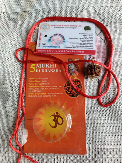 5 Mukhi Natural Certified Rudraksha Bead (Lab Tested)