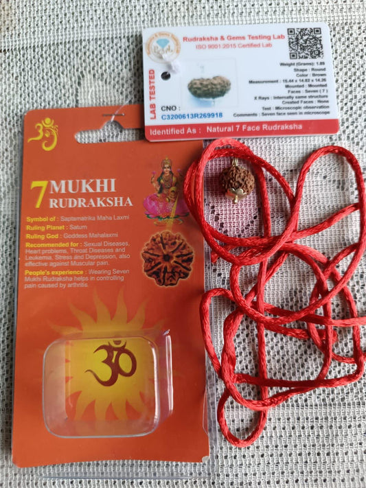7 Mukhi Rudraksha – Certified Natural Bead for Protection, Meditation & Positive Energy