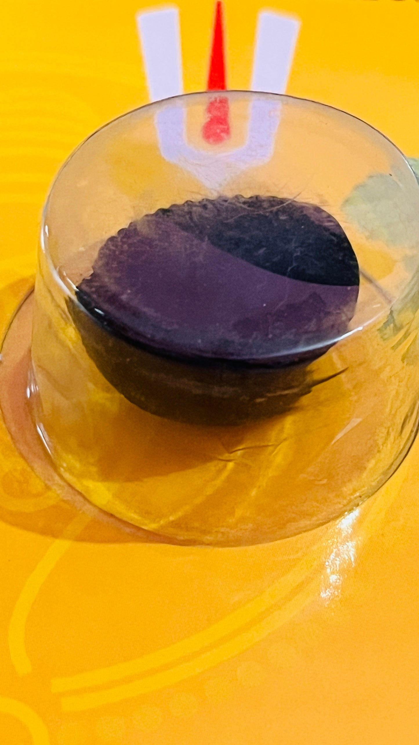 Laxmi Narayan Shaligram – Sacred Fossil Stone for Prosperity, Wealth & Worship