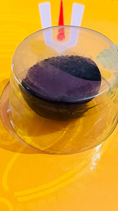 Laxmi Narayan Shaligram – Sacred Fossil Stone for Prosperity, Wealth & Worship