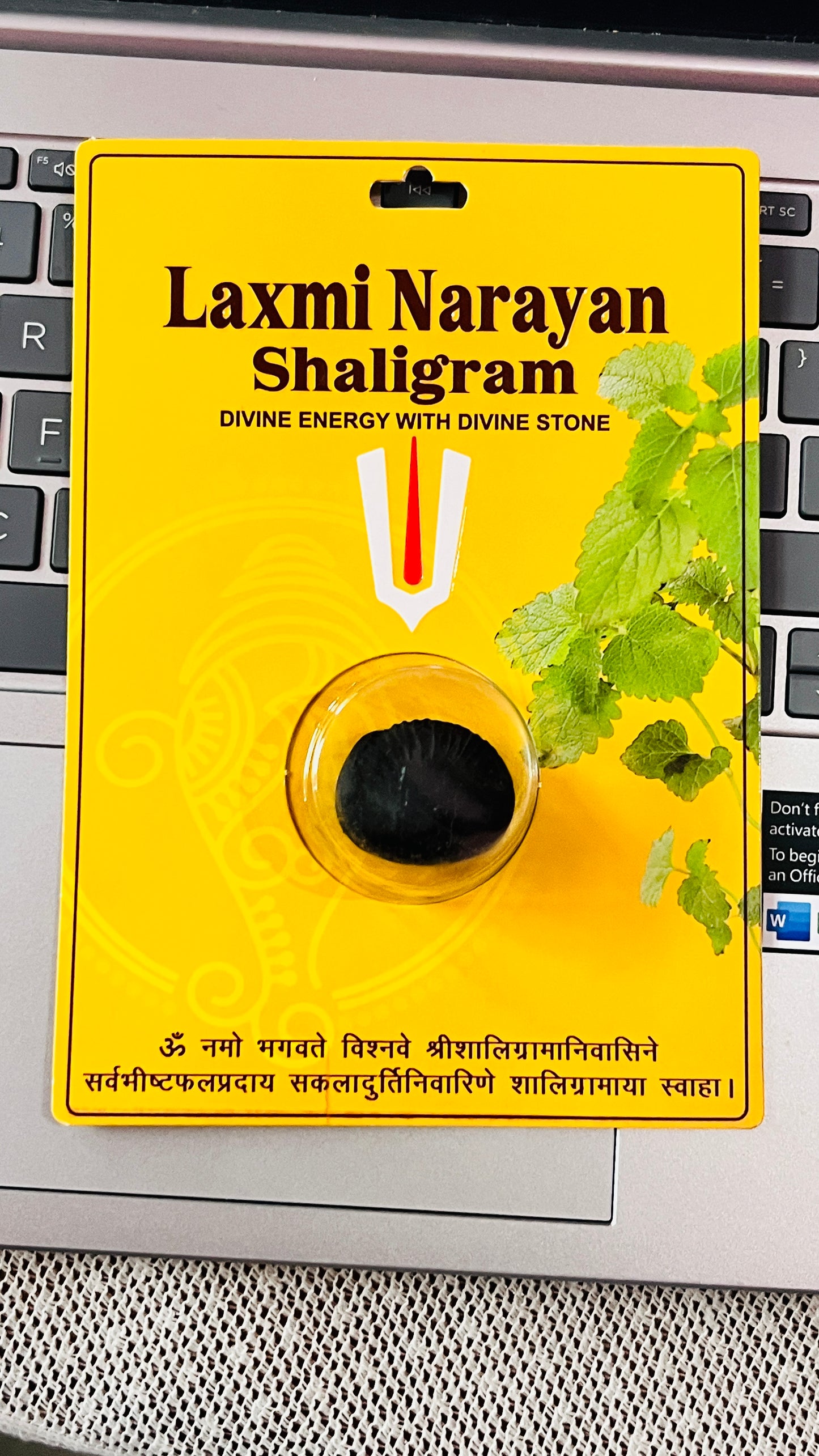 Laxmi Narayan Shaligram – Sacred Fossil Stone for Prosperity, Wealth & Worship