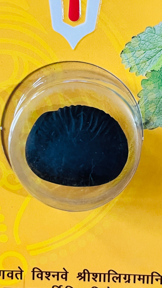 Laxmi Narayan Shaligram – Sacred Fossil Stone for Prosperity, Wealth & Worship