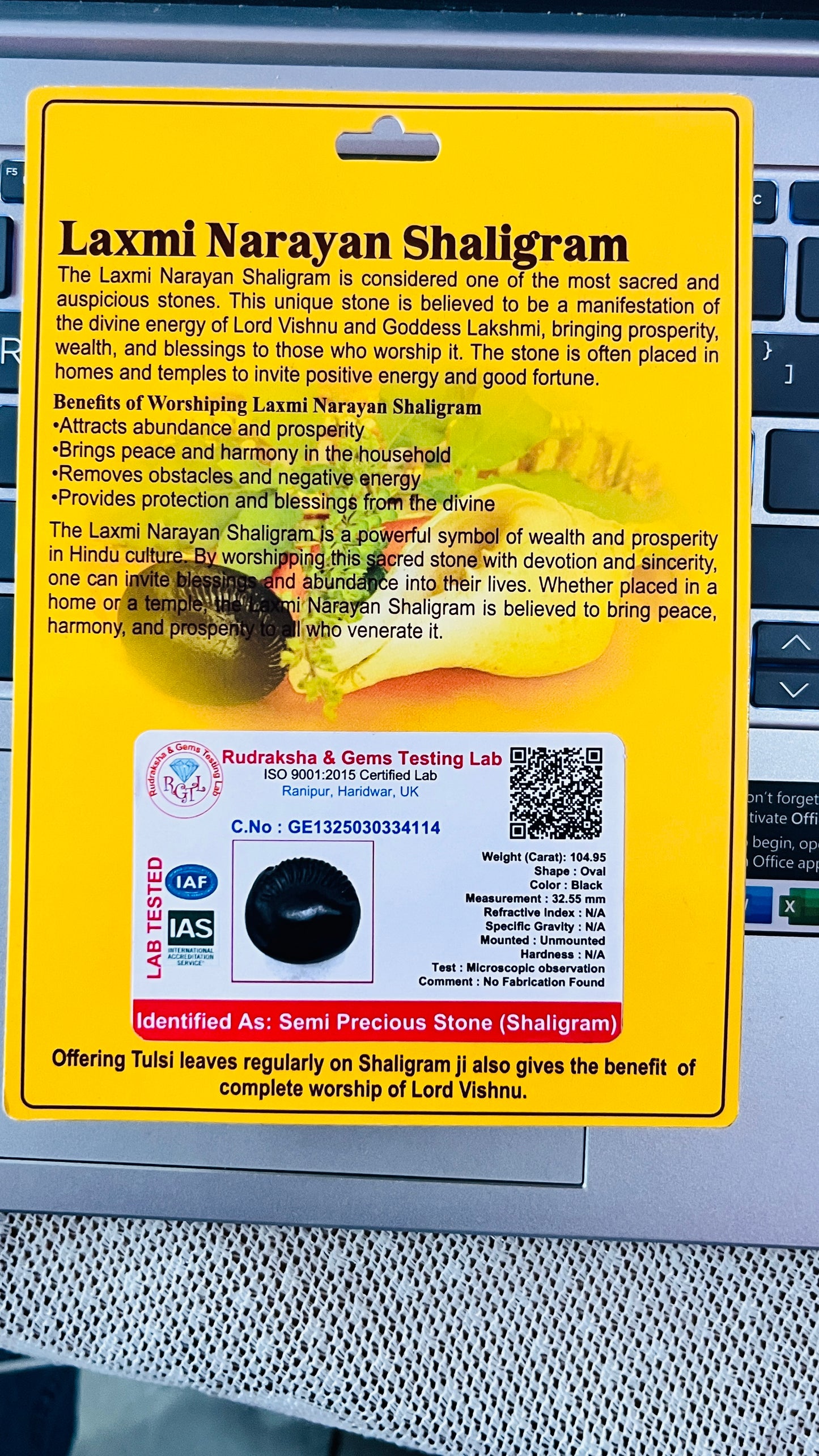 Laxmi Narayan Shaligram – Sacred Fossil Stone for Prosperity, Wealth & Worship