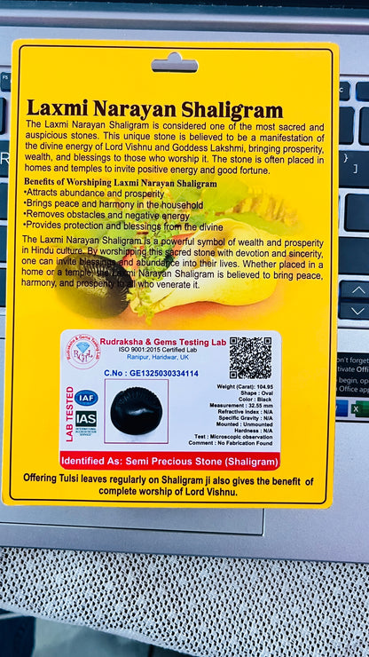 Laxmi Narayan Shaligram – Sacred Fossil Stone for Prosperity, Wealth & Worship