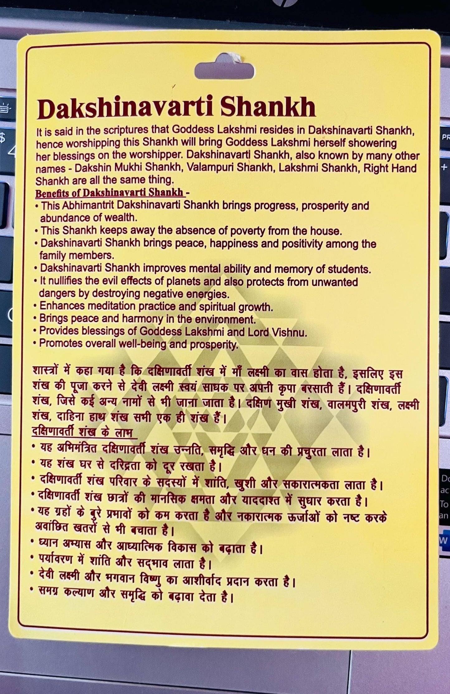 Dakshinavarti Shankh – Lakshmi Conch Shell for Wealth, Hindu Puja & Blessings