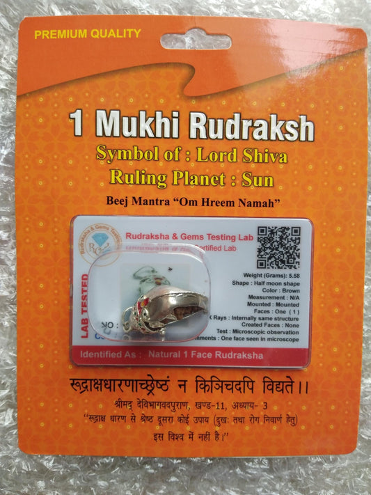 1 Mukhi Natural Certified Rudraksha Bead (Lab Tested)