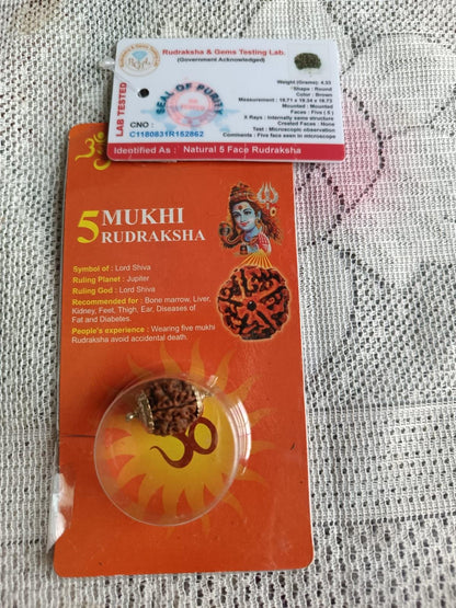 5 Mukhi Natural Certified Rudraksha Bead (Lab Tested)