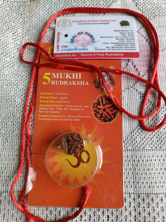 5 Mukhi Natural Certified Rudraksha Bead (Lab Tested)