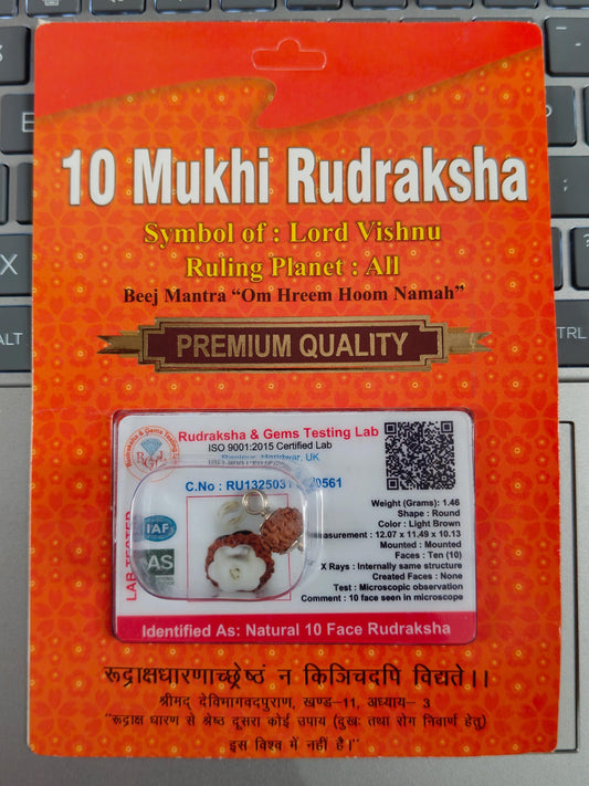 10 Mukhi Rudraksha Bead | Lord Vishnu Symbol, Protection Amulet
