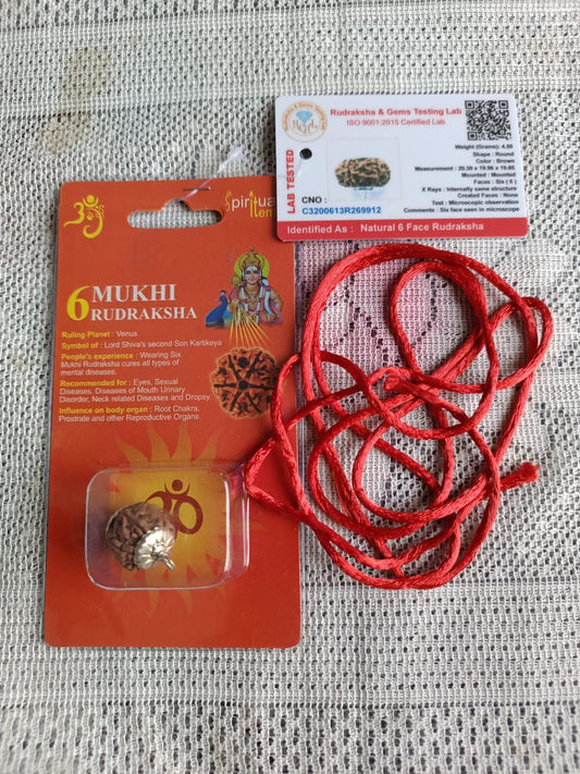6 Mukhi Rudraksha – Certified Natural Bead for Protection, Meditation & Positive Energy